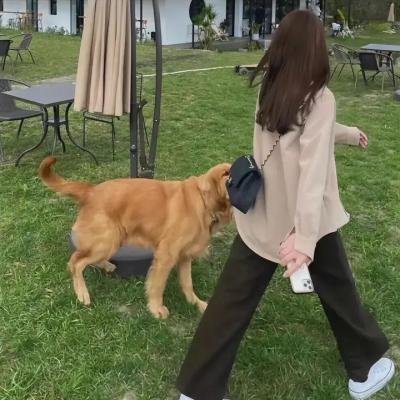 康熙微服私访记 5